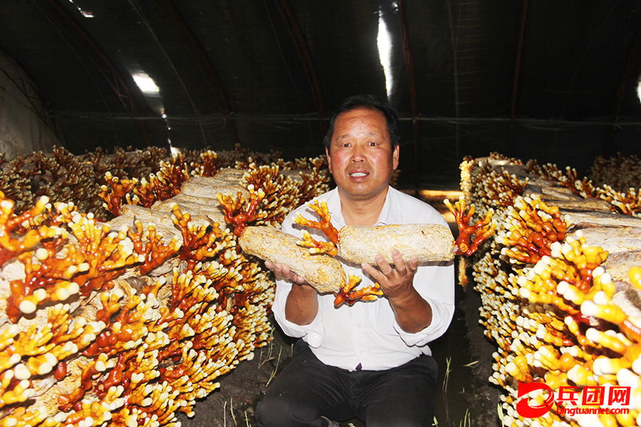 参观灵芝栽培 架起兵地友谊桥梁