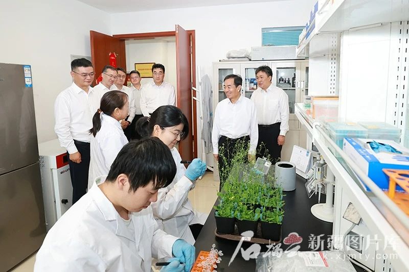 8月11日,自治区党委书记、兵团党委第一书记、第一政委陈小江在位于昌吉市的中国农科院西部农业研究中心,了解科技研发促进农业增效、农民增收情况。 8月11日,自治区党委书记、兵团党委第一书记、第一政委陈小江在位于昌吉市的中国农科院西部农业研究中心,了解科技研发促进农业增效、农民增收情况。